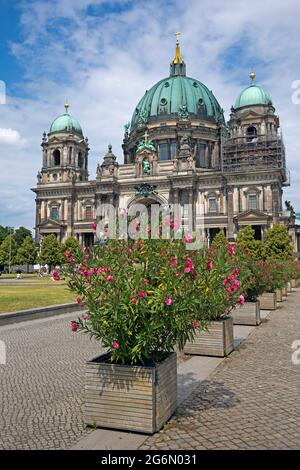 Berlin Cathedral, Berliner Dom, Evangelical Supreme Parish and Collegiate Church, Berlin, Germany, Stock Photo