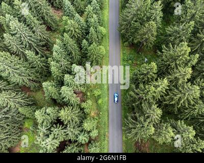 Aerial view of a forest with a road and car Stock Photo
