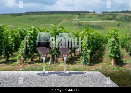 Tasting of burgundy red wine from grand cru pinot noir  vineyards, two glasses of wine and view on green vineyards in Burgundy Cote de Nuits wine regi Stock Photo