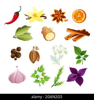 Vector illustration of set of herbs and spices in flat style. Stock Vector