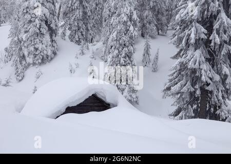 Old wooden house. Beautiful landscape in the cold winter morning. Lawn and forests. Stock Photo