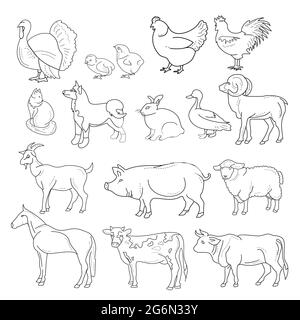 Vector illustration of outline figures of farm animals. Animals in line style on white background. Stock Vector