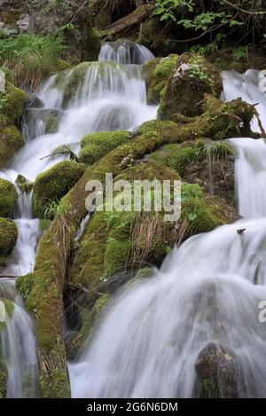 Mountain creek flowing down with small, cascading waterfalls and green moss, Berchtesgaden, Bavaria, Germany Stock Photo