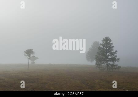 Beautiful rural farm landscape in cloudy day Stock Photo
