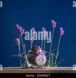 Close-up of buds of blue lavender Stock Photo - Alamy