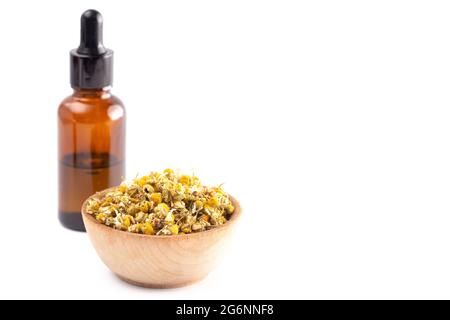 Chamomile Essential Oil with Dried Chamomile Flowers Isolated on a White Background Stock Photo
