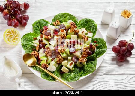 Waldorf salad with red grapes, celery, fresh green apple, walnuts, raisins on a pad of fresh lettuce leaves on a white plate on a wooden table,america Stock Photo