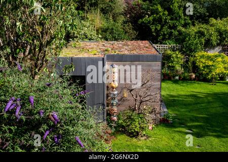 Work from home garden studio with green living sedum roof and black and cedar cladding, in a suburban garden in Pinner, Middlesex, London UK. Stock Photo