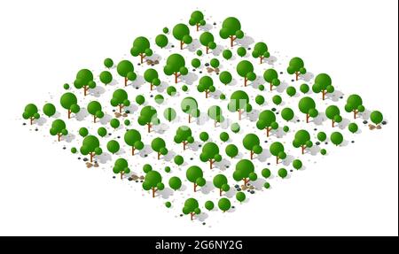 Nature forest landscape of isometric illustration with green tree, grass Stock Vector