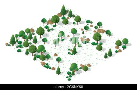 Nature forest landscape of isometric illustration with green tree, grass Stock Vector