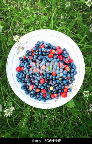 Blueberries and wild strawberries in a white bowl standing on green meadow. Juicy summer season fruits. Stock Photo