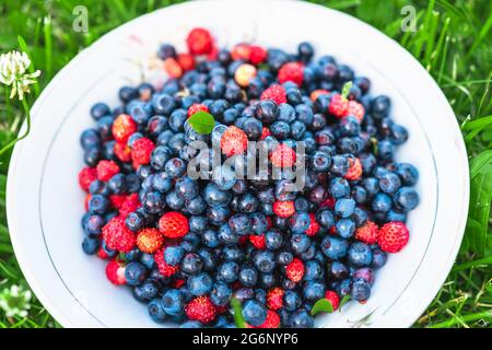Blueberries and wild strawberries in a white bowl standing on green meadow. Juicy summer season fruits. Stock Photo