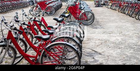 Red bicycles standing in a rows in a bike rental Stock Photo