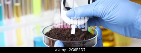 Laboratory analysis of soil. Scientist measures pH of soil sample with ...