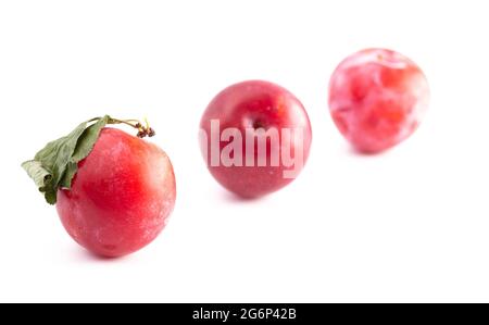Ripe Plums Isolated on a White Background Stock Photo