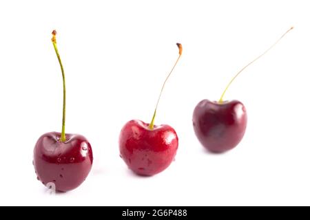 Fresh Dark Red Cherries with Stems Isolated on a White Background Stock Photo