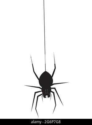 Silhouette of a spider hanging from web Royalty Free Vector