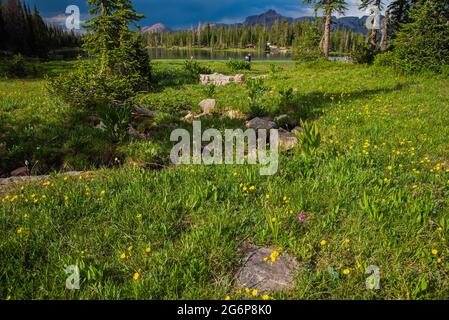 A high mountain meadow with lake in the background, People watching while a fisherman plays a fish caught on a flyrod. Stock Photo