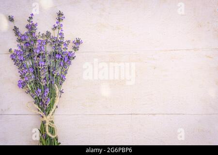 Bundle of bound lavender flowers on a white wooden background Stock Photo