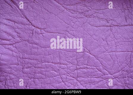 Genuine leather dyed in a bright purple color with large wrinkles. Background, pattern, texture. Stock Photo