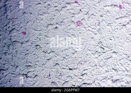 White-pink concrete wall for interiors, art wallpaper or artistic texture background Stock Photo