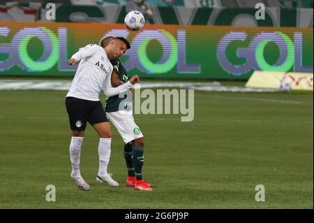 Players of Gremio during the game between Palmeiras and Gremio for the 34th  round of the Brazilian league, known locally as Campeonato Brasiliero. The  game took place at the Allianz Parque in