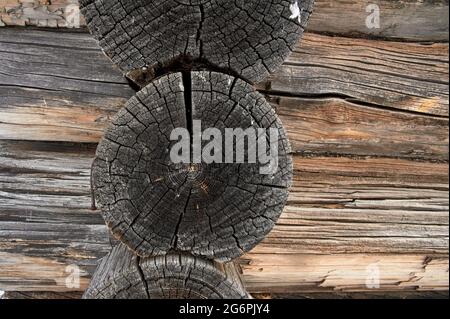 the wall of a wooden house made of old logs Stock Photo