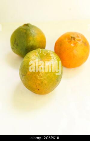 Fresh oranges isolated on white surface, new oranges stock image as you need. Stock Photo