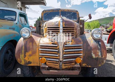 The grille of an antique Dodge truck in Pomeroy, Washington, USA Stock Photo