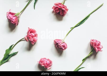 Pink tulips on a white background. Flower pattern  Stock Photo