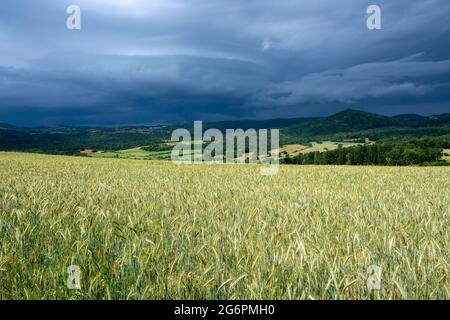 Stormy sky over a wheat field in the Limagne plain, Puy de Dome department, Auvergne-Rhone-Alpes, France Stock Photo