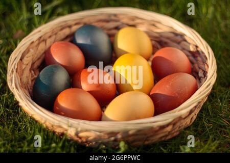 Easter eggs, coloured hen eggs in a wicker basket Stock Photo
