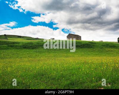 Buttercups in a meadow with barns and dry stone walls and cloudy skies. A Summers day. Yockenthwaite. Yorkshire Dales National Park. Stock Photo