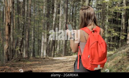 Woman standing in middle of forest, using navigation app on smartphone, following route with help of map, looking at device screen, using smartphone navigation while losing yourself in forest Stock Photo