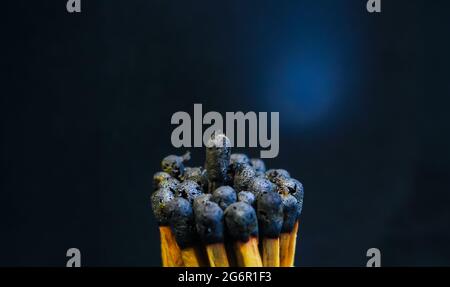 Burnout syndrome, stress, exhaustion, and work-life balance concept. Close-up of a single burnt match in a group of matches. One man standing. Stock Photo