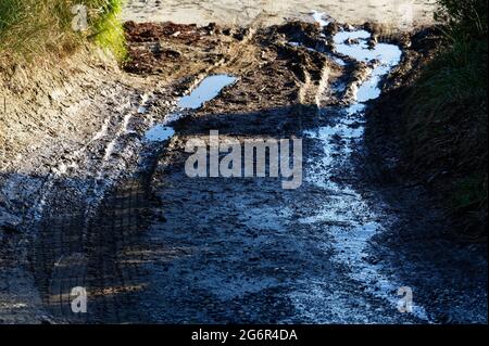 Deep tyre tracks have been left in the sand on the way to the beach, they are filled with water Stock Photo