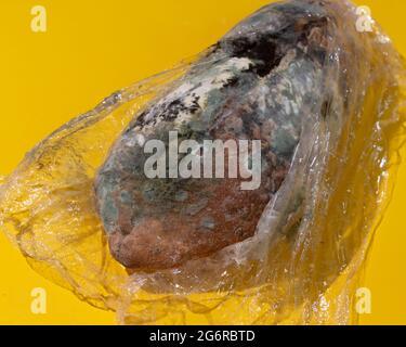 Green moldy bread on plastic wrap. Food waste concept. Minimalist style. Stock Photo