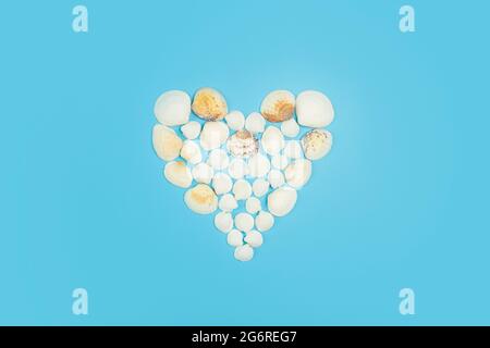 Seashells on a colored background. Heart shape made from sea shells. High quality photo Stock Photo