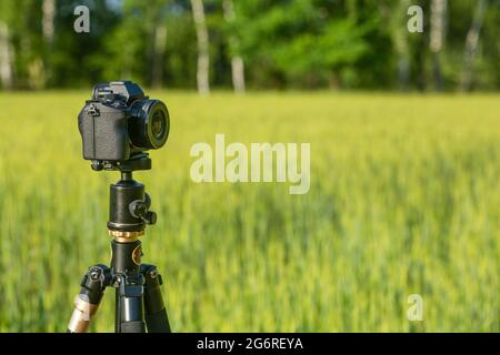 A camera with a lens on a tripod, ready for taking photos or videos in nature. Photographing and filming of landscapes, wildlife. High quality photo Stock Photo