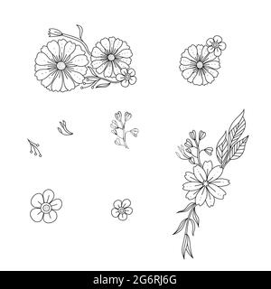 Doodle monochrome flower and leaf in black and white outline. Trend elements design, vector hand drawn illustration. Stock Vector