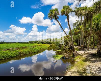 Myakka River on a summer day with blue sky and white clouds in Myakka River State Park in Sarasota Florida USA Stock Photo