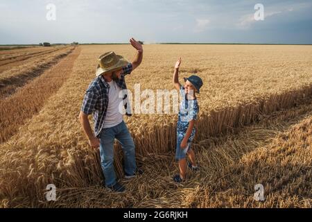 Farmers are standing in their wheat field while the harvesting is taking place. Father is teaching his son about agriculture. Stock Photo