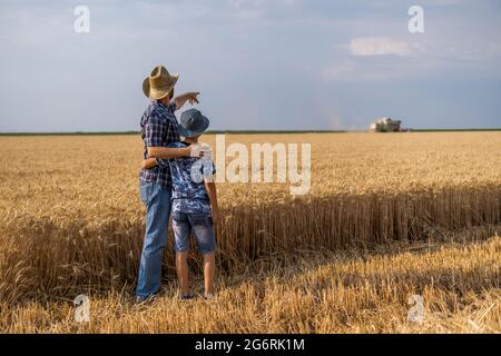 Farmers are standing in their wheat field while the harvesting is taking place. Father is teaching his son about agriculture. Stock Photo