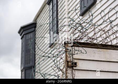 Old rusty barbed wire on a fence to a home as a security measure Stock Photo