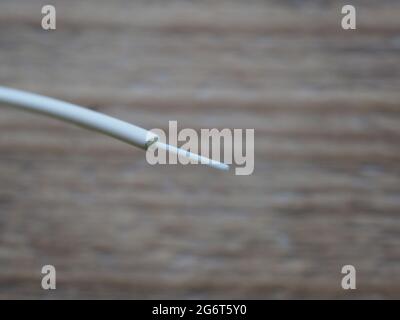 optical fiber cable for high speed network communications Stock Photo