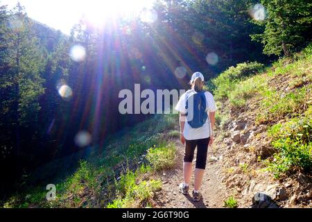 Woman hiking on trail in pine forest in wilderness Stock Photo