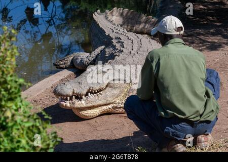 Livingstone crocodile park Stock Photo