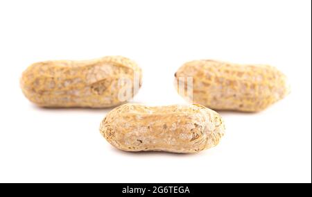 Raw In Shell Peanuts Isolated on a White Background Stock Photo