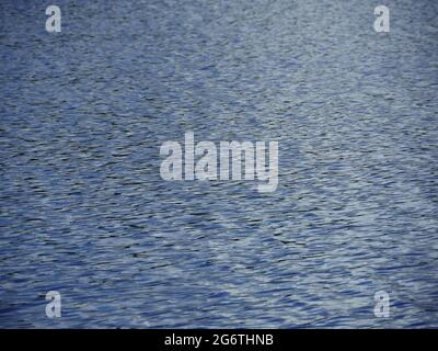 small ripples on the surface of the river abstract blue background Stock Photo