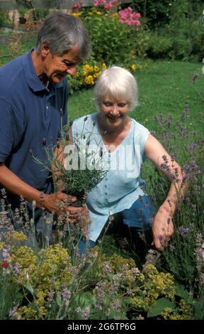 mature couple gardening Stock Photo